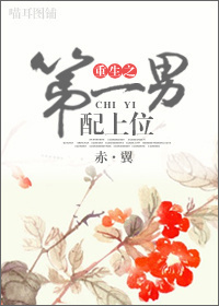重生之第一男配上位 重生之第一男配上位