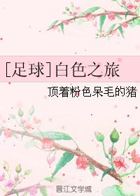 [����]��ɫ֮��