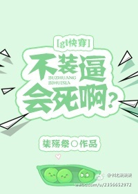 ��װ�ƻ�����[gl�촩]