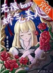 ����boss�Ľ�������