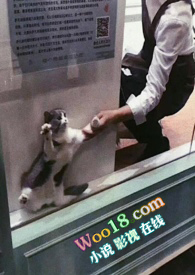 余初(1V1) 余初(1V1)