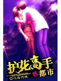 护花高手在都市 护花高手在都市
