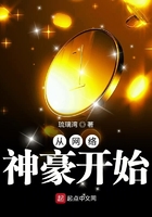 从网络神豪开始 从网络神豪开始