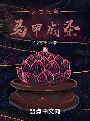 �����������׳�ʥ