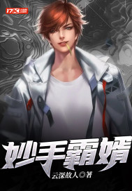 妙手霸婿 妙手霸婿