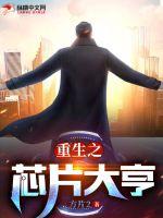 重生之芯片大亨 重生之芯片大亨