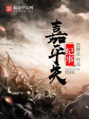 嘉平关纪事 嘉平关纪事