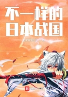 不一样的日本战国 不一样的日本战国