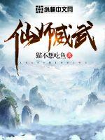 ��ʦ����