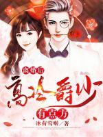离婚后高冷爵少有点方 离婚后高冷爵少有点方