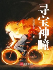 寻宝神瞳 寻宝神瞳