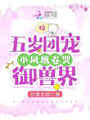 ���������ų�С��˾������޽�