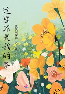 这里不是我的家 这里不是我的家