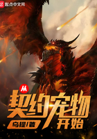 ����Լ���￪ʼ