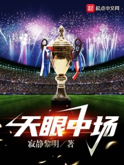 天眼中场 天眼中场