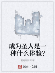 ��Ϊʥ����һ��ʲô���飿