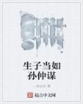生子当如孙仲谋 生子当如孙仲谋