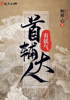 首辅大人有妖气 首辅大人有妖气