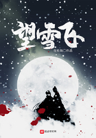 望雪飞 望雪飞