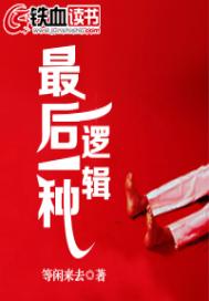 最后一种逻辑 最后一种逻辑