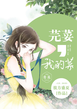 芫荽,我的菜 芫荽,我的菜