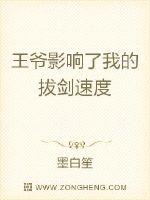 王爷影响了我的拔剑速度 王爷影响了我的拔剑速度