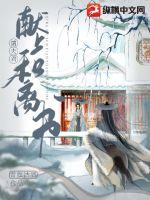 �������Ϻ�����