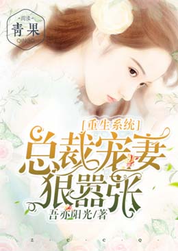 ����ϵͳ���ܲó��޺�����