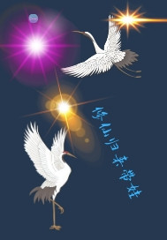 ���ɹ�������