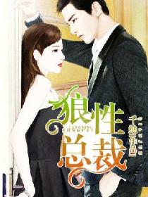 狼性总裁 狼性总裁