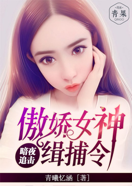 暗夜追击,傲娇女神缉捕令 暗夜追击,傲娇女神缉捕令