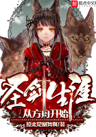 圣剑生涯从方舟开始 圣剑生涯从方舟开始