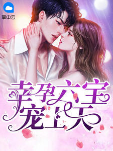 幸孕六宝宠上天 幸孕六宝宠上天