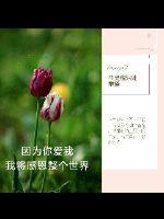 因为你爱我,我将感恩整个世界 因为你爱我,我将感恩整个世界
