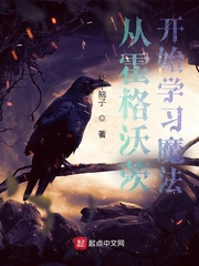 从霍格沃茨开始学习魔法 从霍格沃茨开始学习魔法