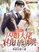 ���ɺ�������ж�����ҹ�պ�