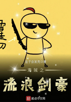 海贼之流浪剑豪 海贼之流浪剑豪