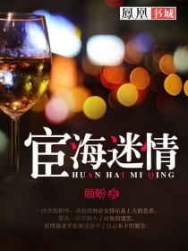 宦海迷情 宦海迷情