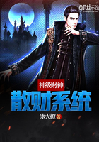 �񼶲���ɢ��ϵͳ