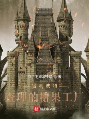 哈利波特:查理的糖果工厂 哈利波特:查理的糖果工厂