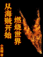从海贼开始燃烧世界 从海贼开始燃烧世界