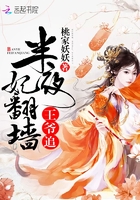 半夜妃翻墙:王爷,追! 半夜妃翻墙:王爷,追!