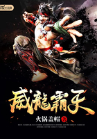 威龙霸天 威龙霸天