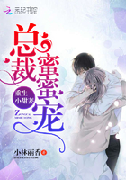 重生小甜妻:总裁蜜蜜宠 重生小甜妻:总裁蜜蜜宠