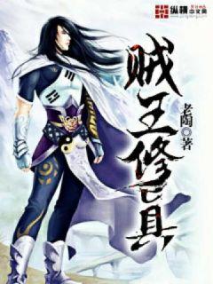 贼王修真 贼王修真