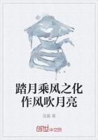 踏月乘风之化作风吹月亮 踏月乘风之化作风吹月亮