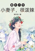 重生八零:小妻子,很泼辣 重生八零:小妻子,很泼辣