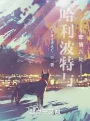 哈利波特与军情六处 哈利波特与军情六处