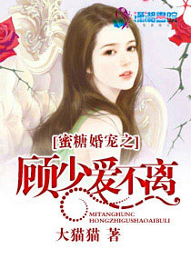 蜜糖婚宠之顾少爱不离 蜜糖婚宠之顾少爱不离