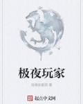 极夜玩家 极夜玩家